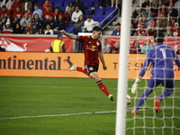 Columbus FC goalkeeper Nicolas Hagen (1) during the MLS League match between Columbus FC and New York Red Bulls at Red Bull Arena in Harris,...