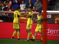 Columbus FC's Yevhen Cheberko (21) celebrates the winning goal with teammates during the MLS League match between Columbus FC and New York R...