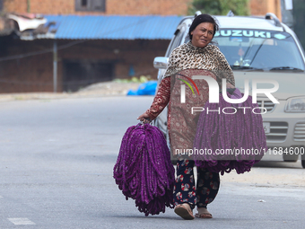 A woman carries globe amaranth (Makhamali) flower garlands ready to sell in the market for the Tihar festival celebration in Bhaktapur, Nepa...