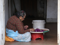 A Nepalese woman weaves globe amaranth (Makhamali) flowers to make garlands to sell in the market for the Tihar festival celebration in Bhak...