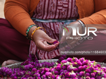 A Nepalese woman weaves globe amaranth (Makhamali) flowers to make garlands to sell in the market for the Tihar festival celebration in Bhak...