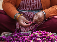 A Nepalese woman weaves globe amaranth (Makhamali) flowers to make garlands to sell in the market for the Tihar festival celebration in Bhak...