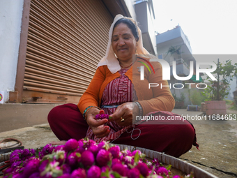 A Nepali florist weaves Gomphrena Globosa, commonly known as Makhmali, to make garlands ahead of the festival of Tihar/Diwali, the festival...