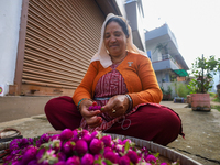 A Nepali florist weaves Gomphrena Globosa, commonly known as Makhmali, to make garlands ahead of the festival of Tihar/Diwali, the festival...