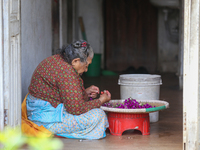 A Nepali florist weaves Gomphrena Globosa, commonly known as Makhmali, to make garlands ahead of the festival of Tihar/Diwali, the festival...