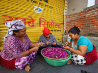 Nepali florists weave Gomphrena Globosa, commonly known as Makhmali, to make garlands ahead of the festival of Tihar/Diwali, the festival of...