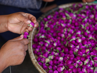 A Nepali florist weaves Gomphrena Globosa, commonly known as Makhmali, to make garlands ahead of the festival of Tihar/Diwali, the festival...