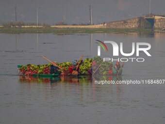 Women row boats loaded with leaves of the lotus plant, which are used as cattle feed, in Dal Lake in Srinagar, Jammu and Kashmir, on October...