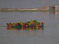 Women row boats loaded with leaves of the lotus plant, which are used as cattle feed, in Dal Lake in Srinagar, Jammu and Kashmir, on October...