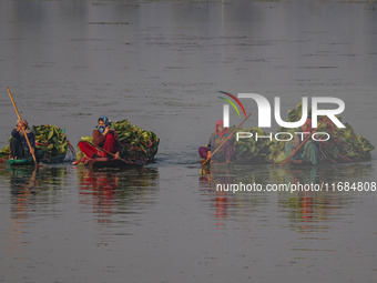 Women row boats loaded with leaves of the lotus plant, which are used as cattle feed, in Dal Lake in Srinagar, Jammu and Kashmir, on October...