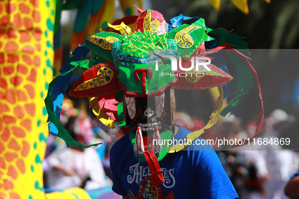 A person participates in the 16th edition of the traditional Monumental Alebrijes parade organized by the Museum of Popular Art (MAP). The p...