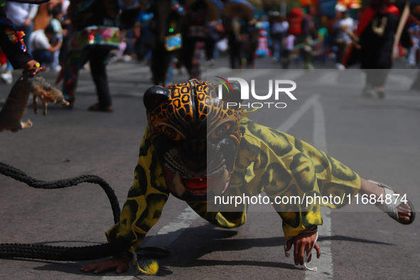 A person participates in the 16th edition of the traditional Monumental Alebrijes parade organized by the Museum of Popular Art (MAP). The p...