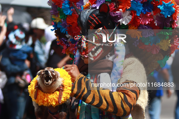 A person participates in the 16th edition of the traditional Monumental Alebrijes parade organized by the Museum of Popular Art (MAP). The p...