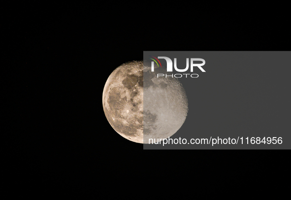 The waning gibbous moon rises in the evening sky, visible through the forest to the southwest at Tehatta, West Bengal, India, on Sunday, Oct...