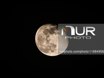 The waning gibbous moon rises in the evening sky, visible through the forest to the southwest at Tehatta, West Bengal, India, on Sunday, Oct...