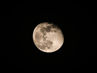 The waning gibbous moon rises in the evening sky, visible through the forest to the southwest at Tehatta, West Bengal, India, on Sunday, Oct...