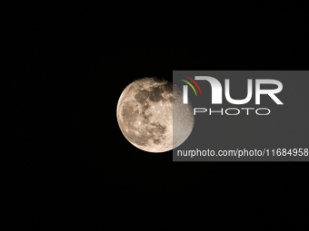 The waning gibbous moon rises in the evening sky, visible through the forest to the southwest at Tehatta, West Bengal, India, on Sunday, Oct...