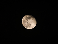 The waning gibbous moon rises in the evening sky, visible through the forest to the southwest at Tehatta, West Bengal, India, on Sunday, Oct...