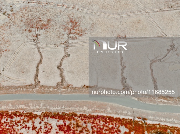 A photo taken on October 20, 2024, shows various patterns left on the beach after the ebb tide at the Yanghe Estuary wetland in Jiaozhou Bay...