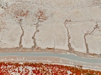 A photo taken on October 20, 2024, shows various patterns left on the beach after the ebb tide at the Yanghe Estuary wetland in Jiaozhou Bay...