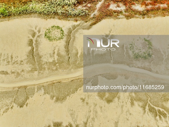 A photo taken on October 20, 2024, shows various patterns left on the beach after the ebb tide at the Yanghe Estuary wetland in Jiaozhou Bay...