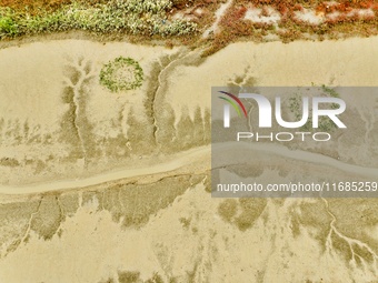 A photo taken on October 20, 2024, shows various patterns left on the beach after the ebb tide at the Yanghe Estuary wetland in Jiaozhou Bay...