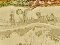 A photo taken on October 20, 2024, shows various patterns left on the beach after the ebb tide at the Yanghe Estuary wetland in Jiaozhou Bay...