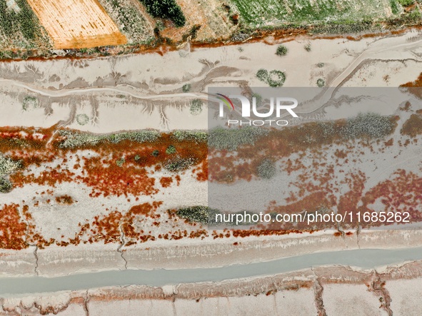 A photo taken on October 20, 2024, shows various patterns left on the beach after the ebb tide at the Yanghe Estuary wetland in Jiaozhou Bay...