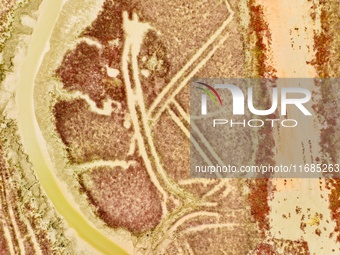 A photo taken on October 20, 2024, shows various patterns left on the beach after the ebb tide at the Yanghe Estuary wetland in Jiaozhou Bay...