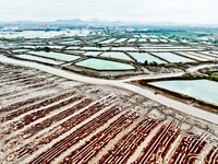 A photo taken on October 20, 2024, shows a mariculture area at the Yanghe Estuary wetland in Jiaozhou Bay, Qingdao, Shandong province, China...