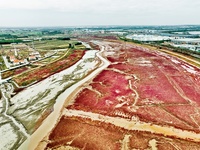 A photo taken on October 20, 2024, shows the scenery of Red Beach at the Yanghe Estuary wetland in Jiaozhou Bay in Qingdao, Shandong provinc...