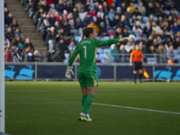 Sabrina D'Angelo #1 (GK) of Aston Villa W.F.C gestures during the Barclays FA Women's Super League match between Manchester City and Aston V...