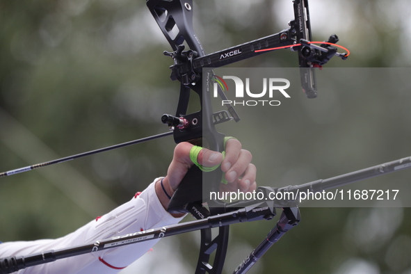 Thomas Chirault of France competes against Woojin Kim of Korea (not in picture) during the Men's recurve quarterfinals match on the final da...