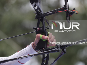 Thomas Chirault of France competes against Woojin Kim of Korea (not in picture) during the Men's recurve quarterfinals match on the final da...