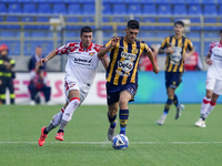 Yuri Rocchetti of SS Juve Stabia competes for the ball with Luca Zanimacchia of US Cremonese during the Serie B match between SS Juve Stabia...