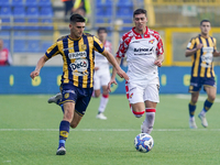 Yuri Rocchetti of SS Juve Stabia competes for the ball with Luca Zanimacchia of US Cremonese during the Serie B match between SS Juve Stabia...