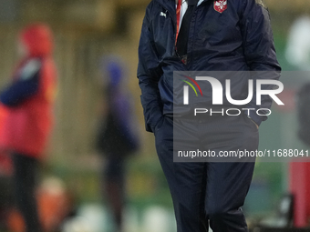 Dragan Stojkovic head coach of Serbia during the UEFA Nations League 2024/25 League A Group A4 match between Spain and Serbia at Estadio Nue...