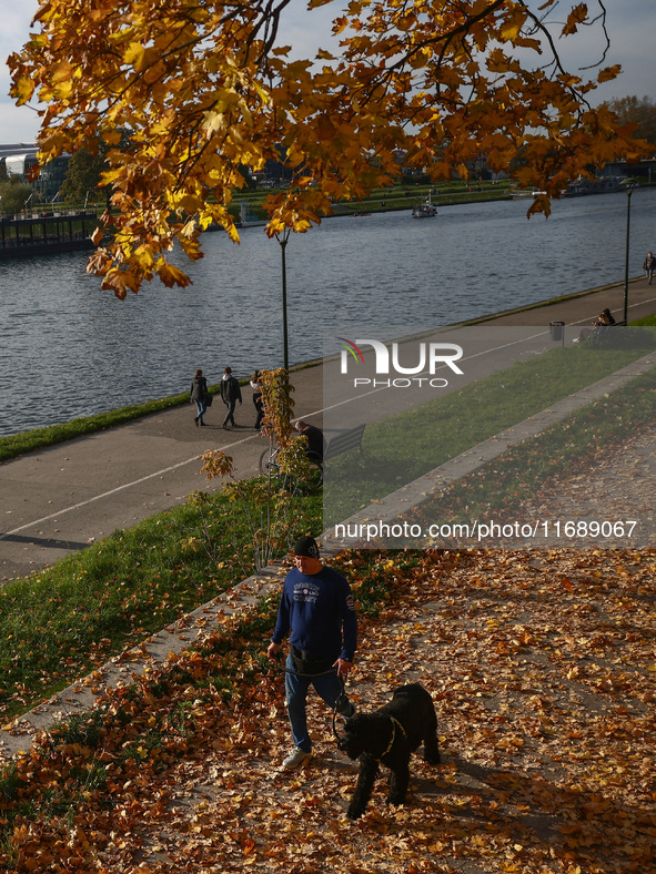 A sunny autumn day at the Vistula boulevards in Krakow, Poland on October 20th, 2024. 