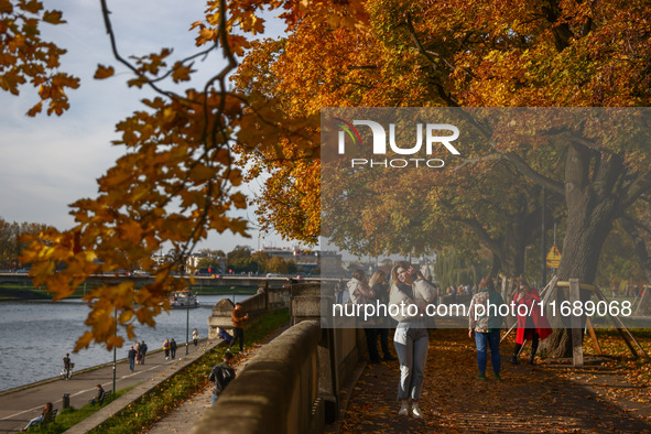 A sunny autumn day at the Vistula boulevards in Krakow, Poland on October 20th, 2024. 