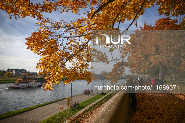 A sunny autumn day at the Vistula boulevards in Krakow, Poland on October 20th, 2024. 