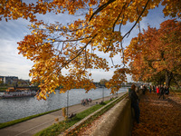 A sunny autumn day at the Vistula boulevards in Krakow, Poland on October 20th, 2024. (