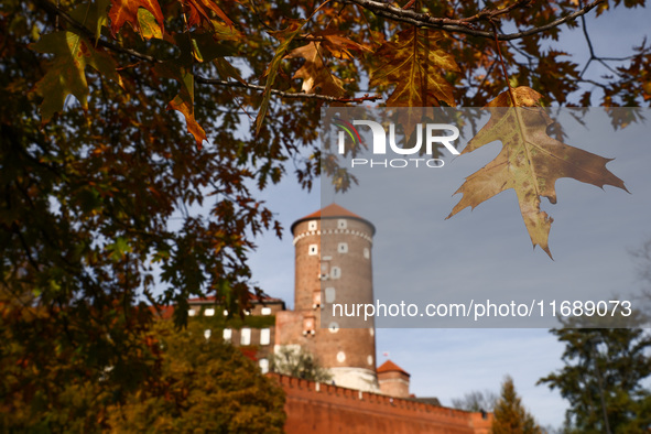 A sunny autumn day near the Wawel Castle in Krakow, Poland on October 20th, 2024. 