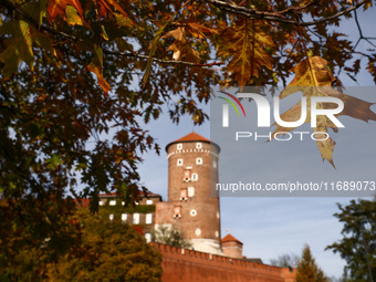 A sunny autumn day near the Wawel Castle in Krakow, Poland on October 20th, 2024. (