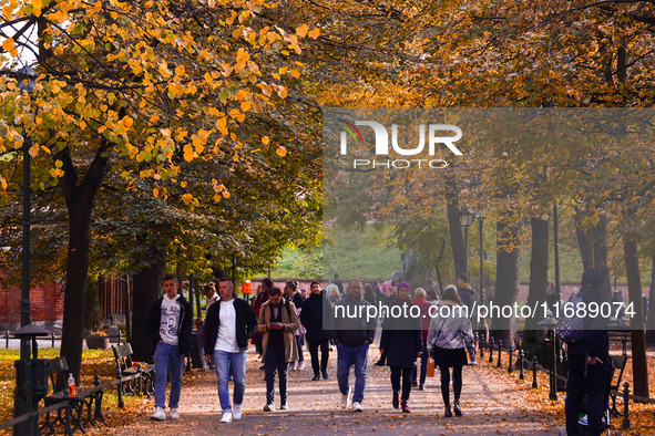 A sunny autumn day at the Planty park in Krakow, Poland on October 20th, 2024. 