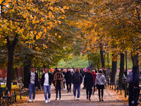 A sunny autumn day at the Planty park in Krakow, Poland on October 20th, 2024. (