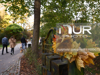 An autumn day at Bednarski Park in Krakow, Poland on October 20th, 2024. (