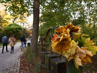 An autumn day at Bednarski Park in Krakow, Poland on October 20th, 2024. (