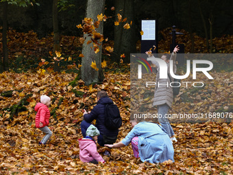 People play throwing leaves on an autumn day at Bednarski Park n Krakow, Poland on October 20th, 2024. (