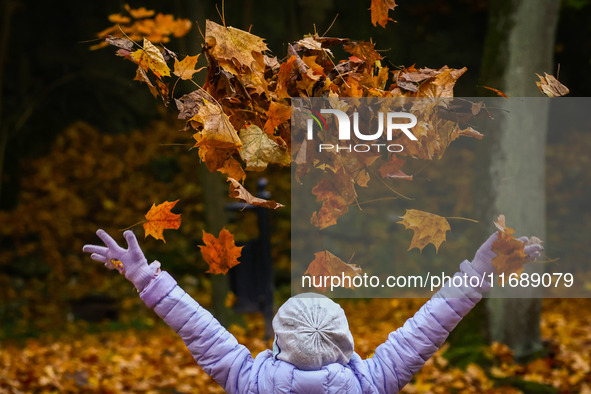 A child plays throwing leaves on an autumn day at Bednarski Park n Krakow, Poland on October 20th, 2024. 