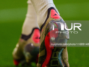 A detailed view of a Predator Elite football boot during the Premier League match between Liverpool and Chelsea at Anfield in Liverpool, Eng...